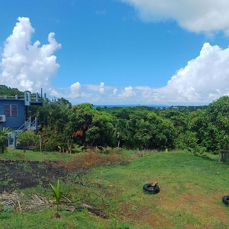 Rooster Run Glamping Camping Has Rooftop And Off The Ground Glamping Experience For 1 To 16 In A Single Tent And Views Of The Rain Forrest And To Culebra Across The Atlantic Ocean W Tents, Linens, Deluxe Air Beds, Warm Shower And More At A Great Pric 비에케스 외부 사진