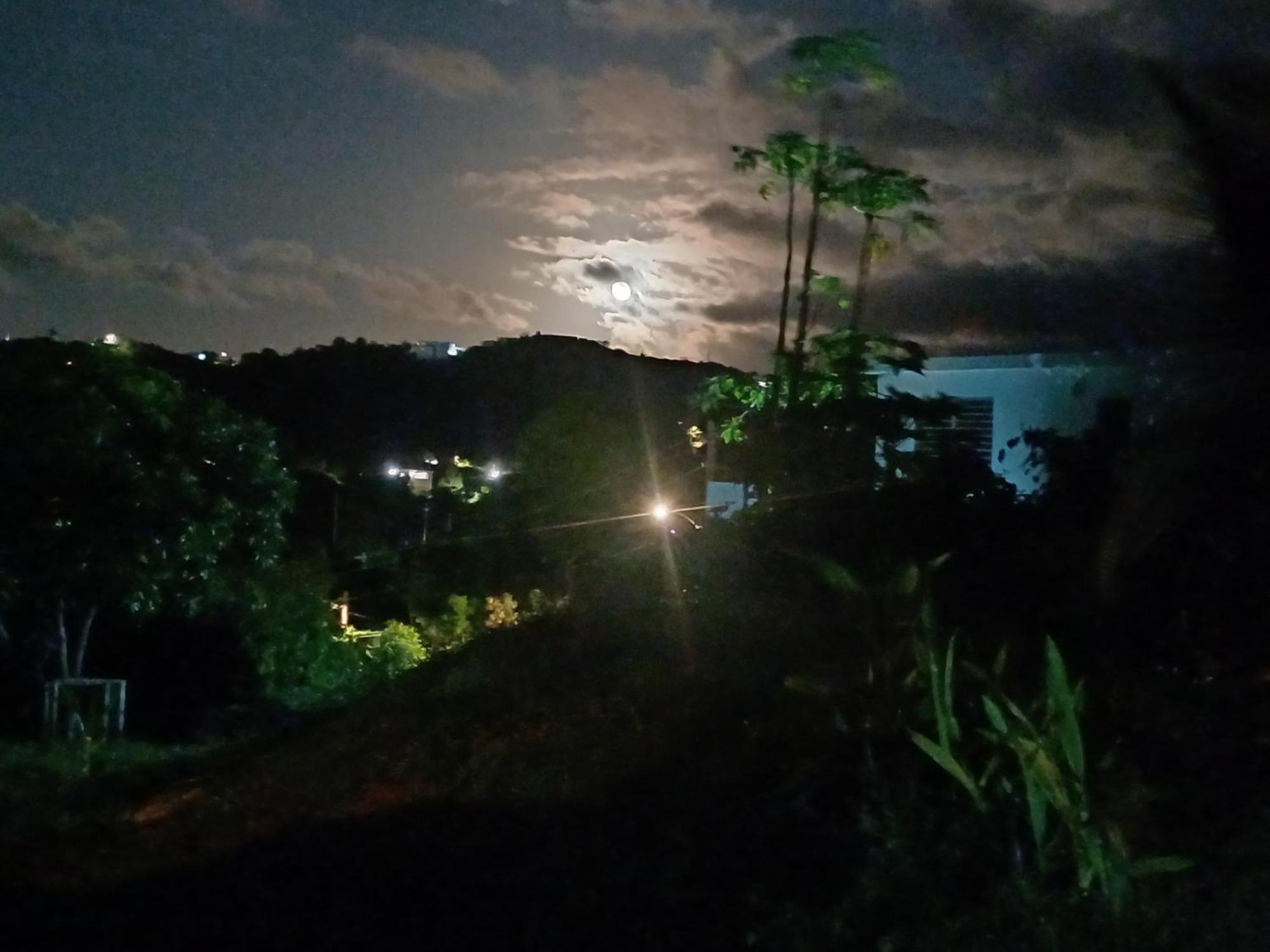 Rooster Run Glamping Camping Has Rooftop And Off The Ground Glamping Experience For 1 To 16 In A Single Tent And Views Of The Rain Forrest And To Culebra Across The Atlantic Ocean W Tents, Linens, Deluxe Air Beds, Warm Shower And More At A Great Pric 비에케스 외부 사진