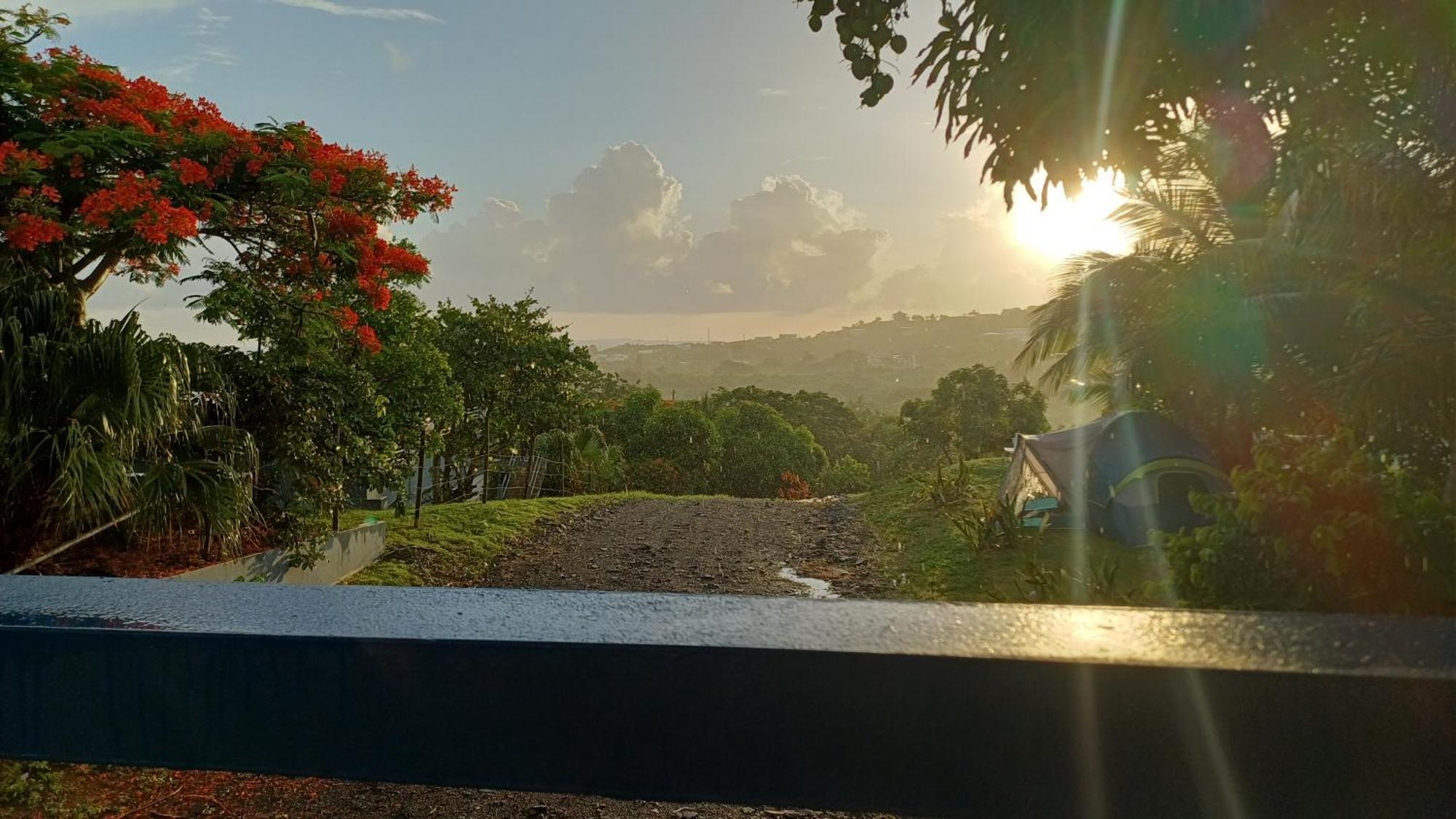 Rooster Run Glamping Camping Has Rooftop And Off The Ground Glamping Experience For 1 To 16 In A Single Tent And Views Of The Rain Forrest And To Culebra Across The Atlantic Ocean W Tents, Linens, Deluxe Air Beds, Warm Shower And More At A Great Pric 비에케스 외부 사진