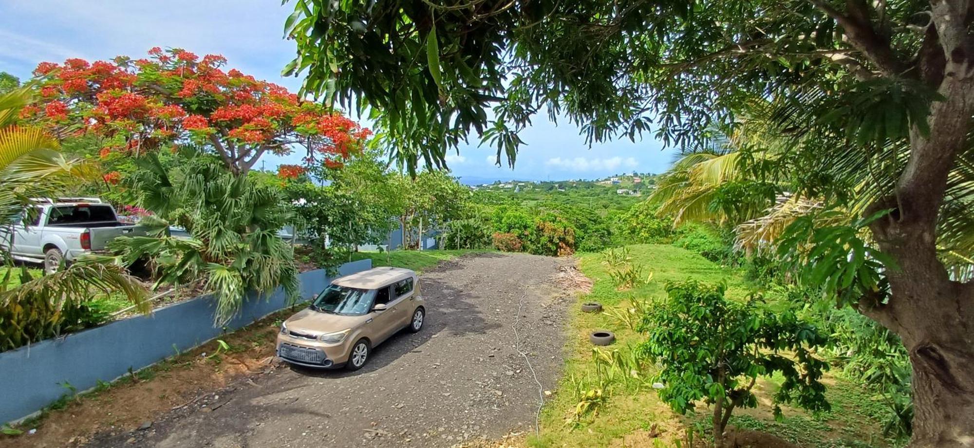 Rooster Run Glamping Camping Has Rooftop And Off The Ground Glamping Experience For 1 To 16 In A Single Tent And Views Of The Rain Forrest And To Culebra Across The Atlantic Ocean W Tents, Linens, Deluxe Air Beds, Warm Shower And More At A Great Pric 비에케스 외부 사진