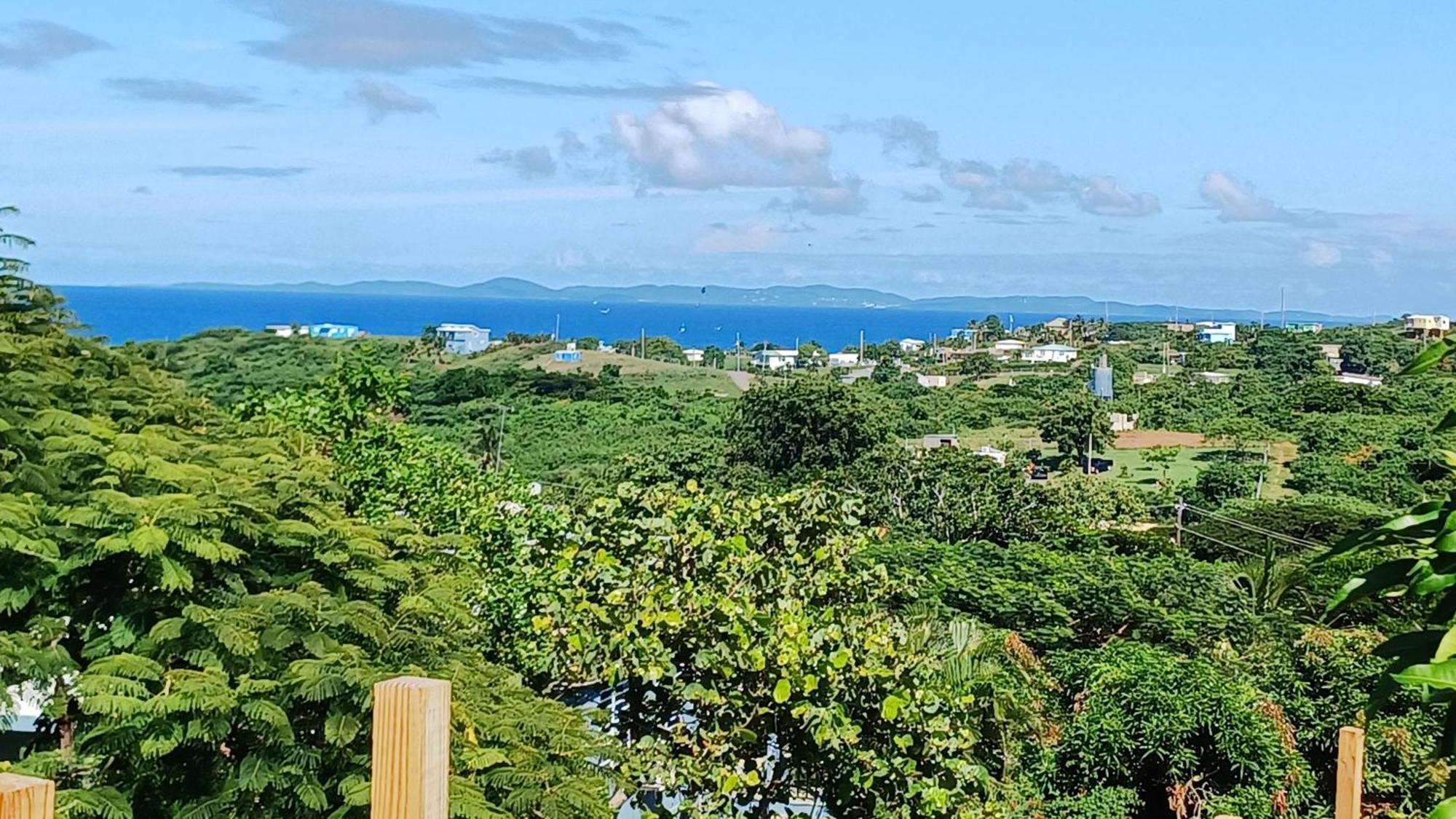 Rooster Run Glamping Camping Has Rooftop And Off The Ground Glamping Experience For 1 To 16 In A Single Tent And Views Of The Rain Forrest And To Culebra Across The Atlantic Ocean W Tents, Linens, Deluxe Air Beds, Warm Shower And More At A Great Pric 비에케스 외부 사진